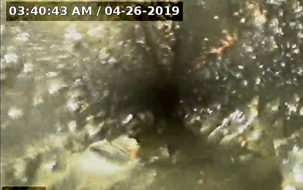 Fire Sprinkler Systems Corrosion Risk Assessment